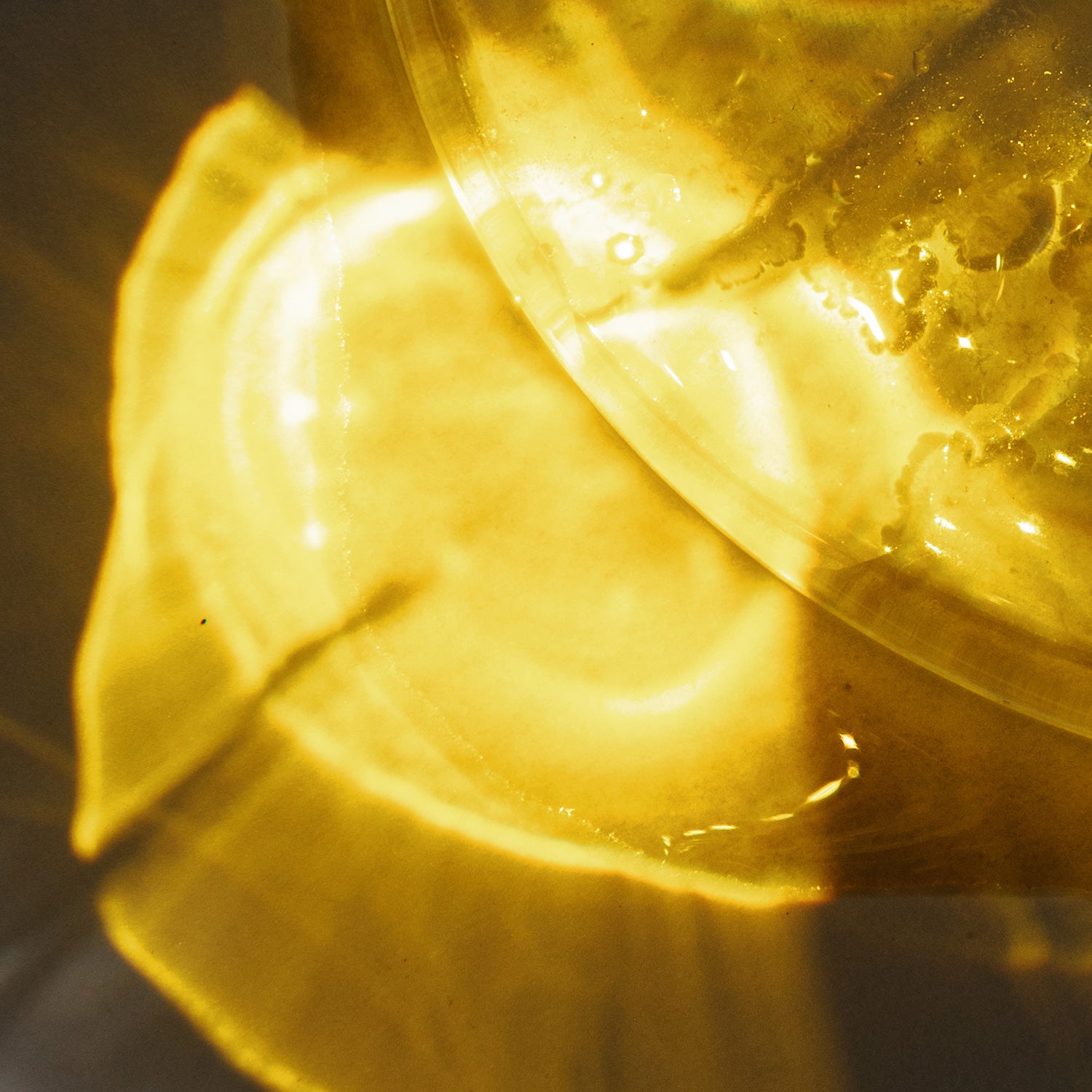 Longer & Stronger Hair & Scalp Oil